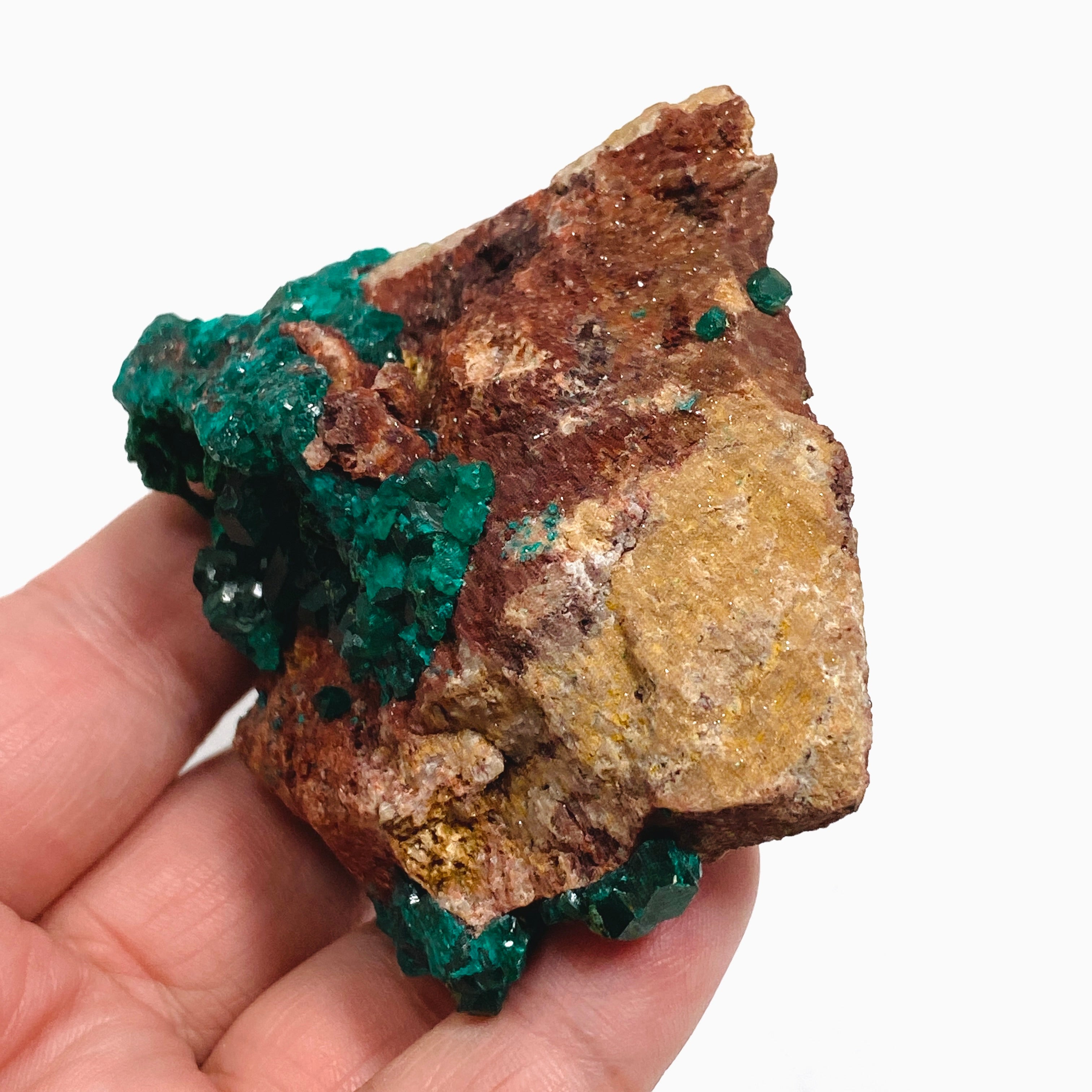 Natural Dioptase with Malachite Crystal Specimen from Congo CR3746 - Perfect for Mineral Collectors & Home Decor