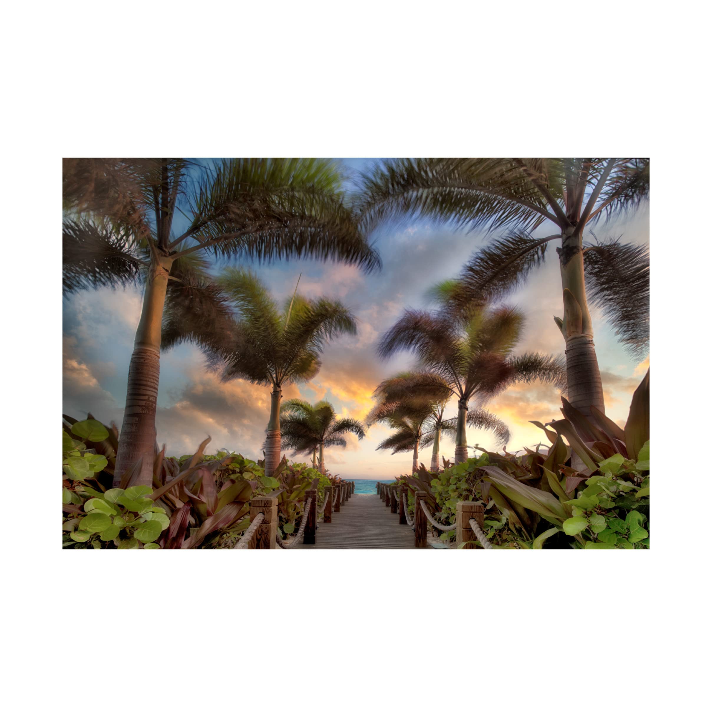 Dennis Frates 'Palms 3' Canvas Wall Art Print - Tropical Beach Landscape Painting for Living Room, Bedroom & Office Decor