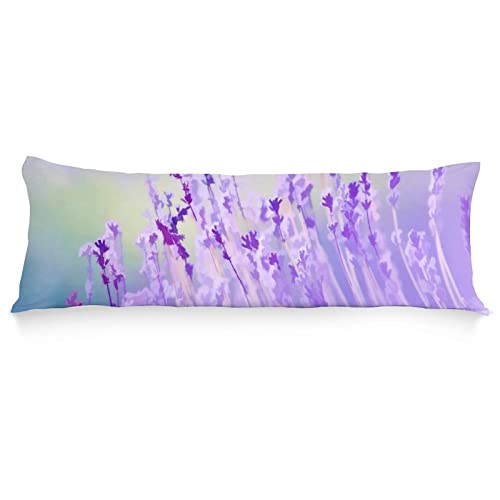 Beautiful Lavender Flower Purple