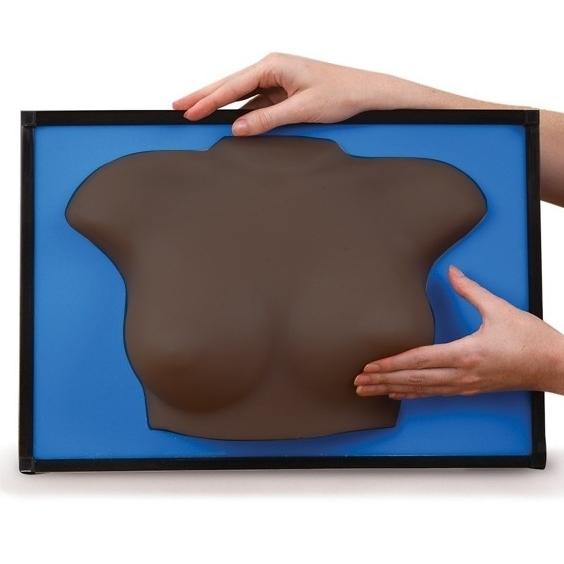 BSE Breast Self-Exam Model - Anatomical Training Aid for Medical Students & Nursing Education | Early Cancer Detection Practice Tool for Clinical Skills Development
