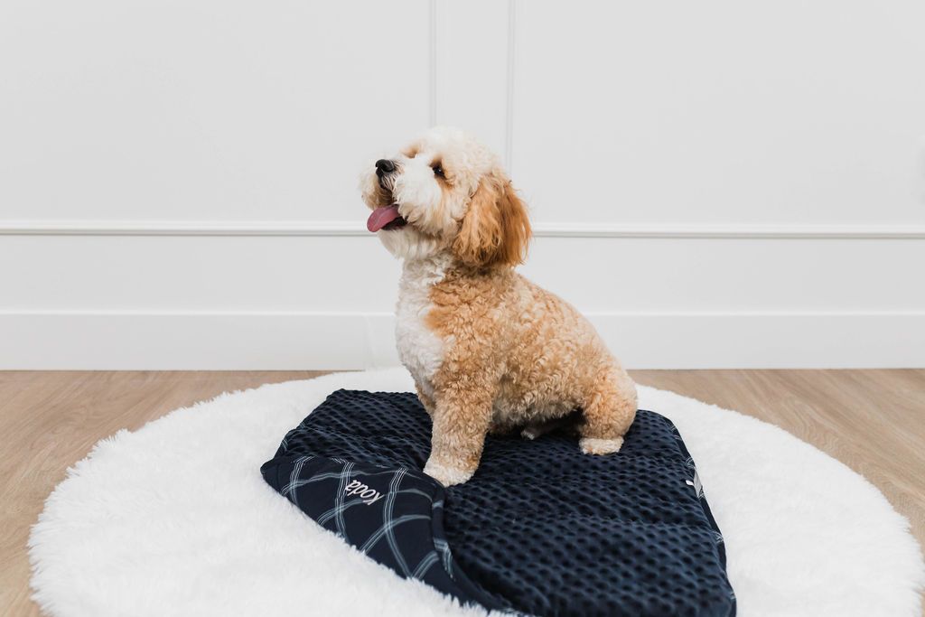 Blair Mini Blanket - Soft & Cozy Travel Blanket for Adults & Kids - Perfect for Airplane, Car, Office & Home Use