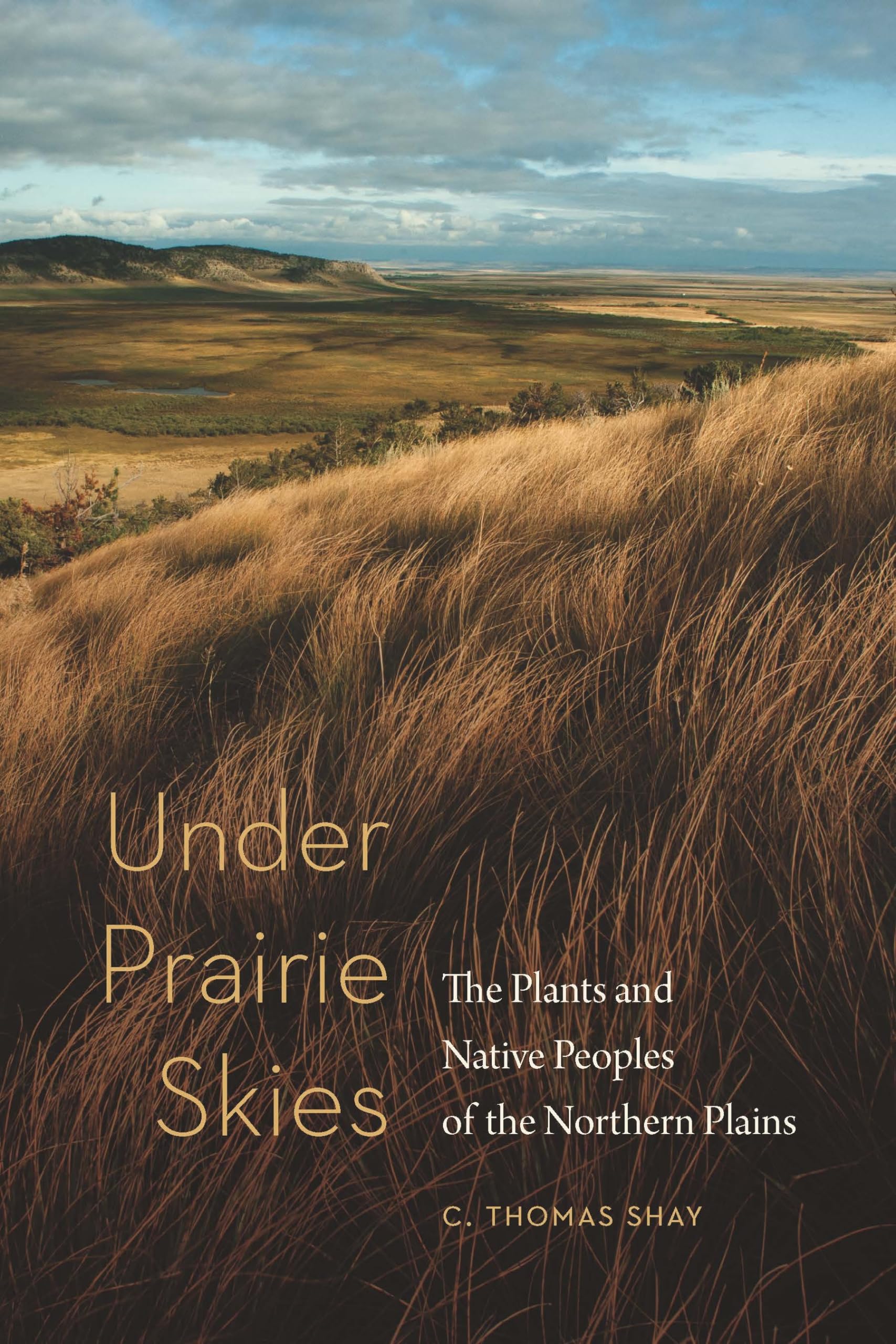 Under Prairie Skies: Native Plants & Indigenous Peoples of Northern Plains | Prairie Ecosystem Guide & Cultural History Book