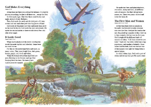 Kids Bible Study Book - Old & New Testament Stories for Children - Creation, Adam & Eve, Noah, Babel, Abraham, Isaac, Jacob, Israel & Paul - Perfect for Sunday School, Homeschooling & Family Devotion Time