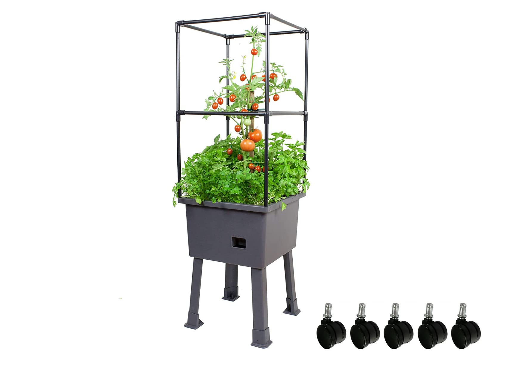 Self-Watering Elevated Planter Box with Trellis Frame - 15.75