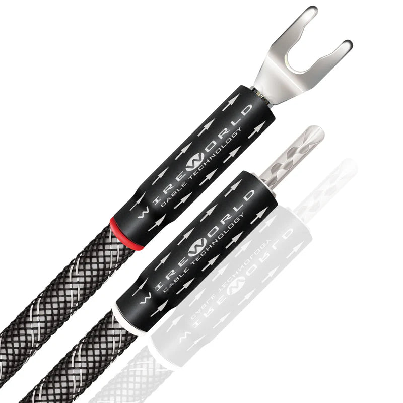 Premium Bi-Wire Speaker Jumpers - Wireworld Platinum Eclipse™ 10 for Audiophile Sound Systems | Perfect for Home Theater & Hi-Fi Audio Setups