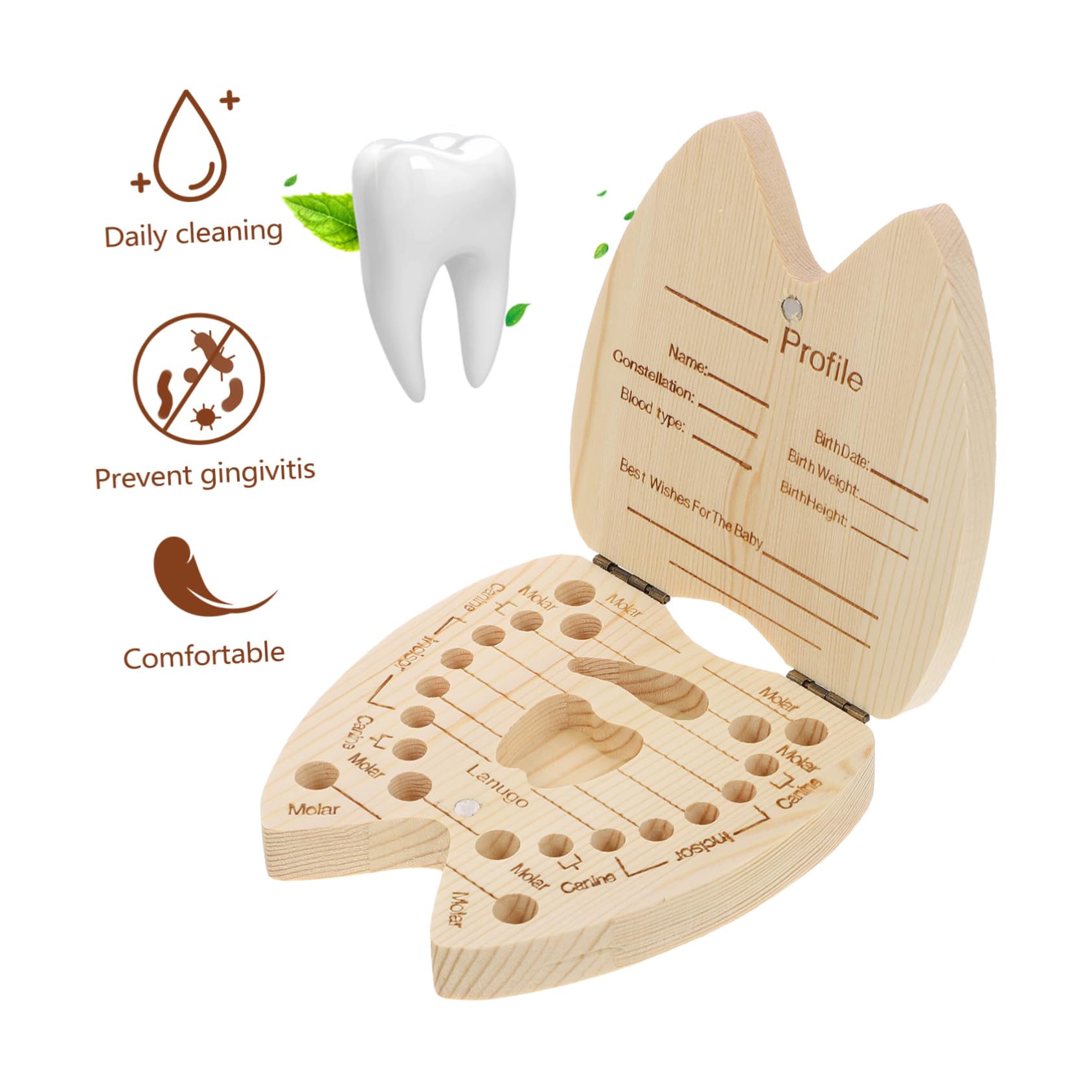 BIUDECO Wooden Tooth Storage Box - Kids Tooth Holder for Baby Teeth & Childhood Memories | Perfect for Organizing and Preserving Lost Teeth as Keepsakes