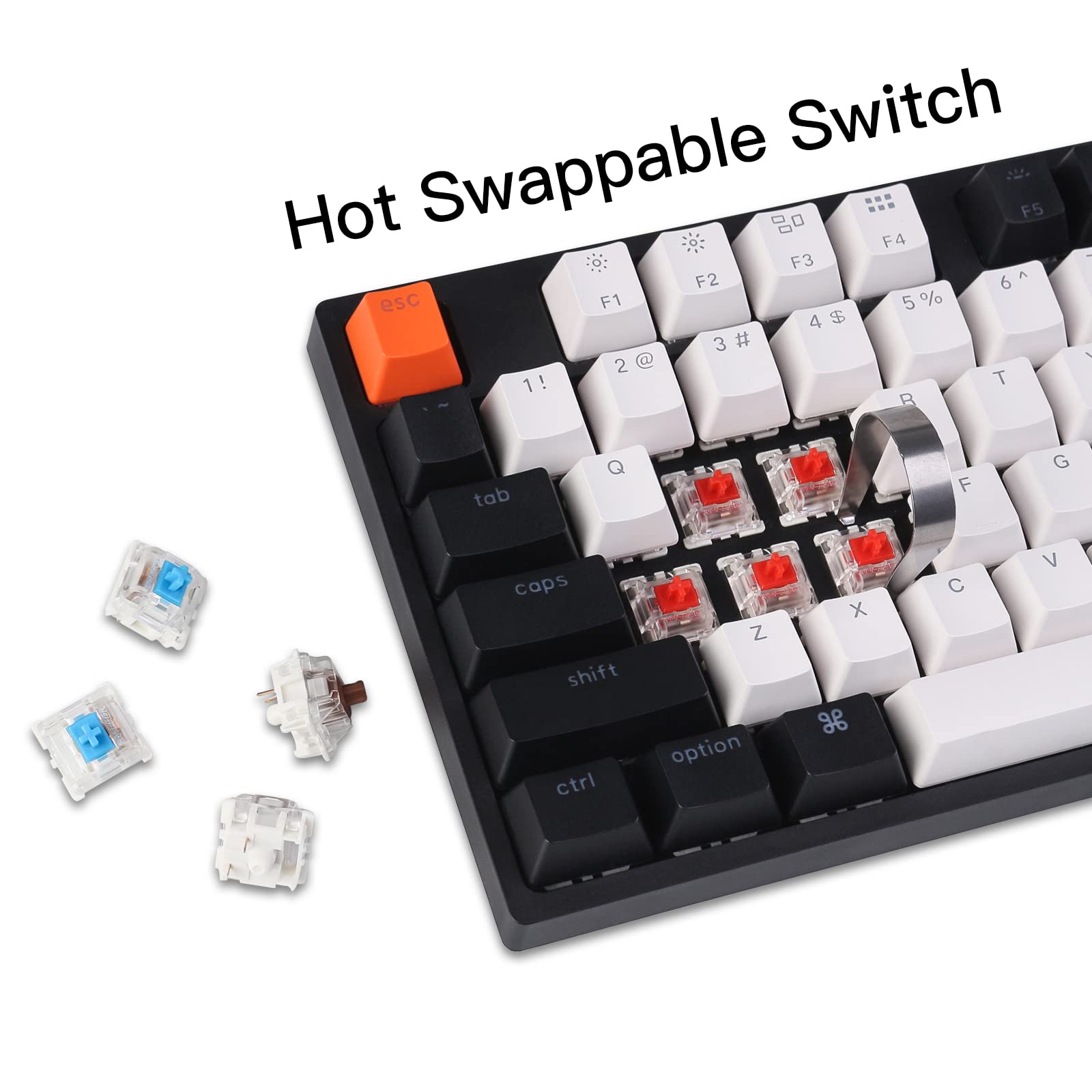 Keychron C2 Wired Mechanical Keyboard for Mac/Windows - Gateron G Pro Red Switch, Hot-Swappable, White Backlight - Perfect for Gaming & Office Work