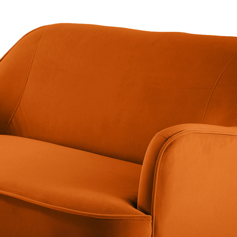Stylish Africa Contemporary Velvet Loveseat Sofa - Modern Velvet Upholstered 2-Seater Couch for Living Room, Lounge & Home Decor