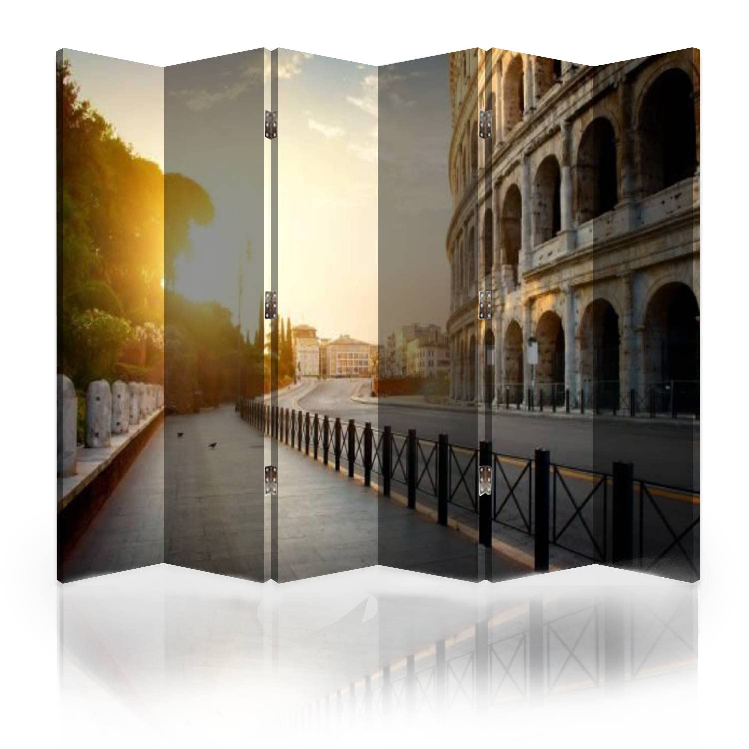 6-Panel Canvas Room Divider Screen - Colosseum in The Morning Design - Folding Privacy Partition Wall for Bedroom, Office & Living Room