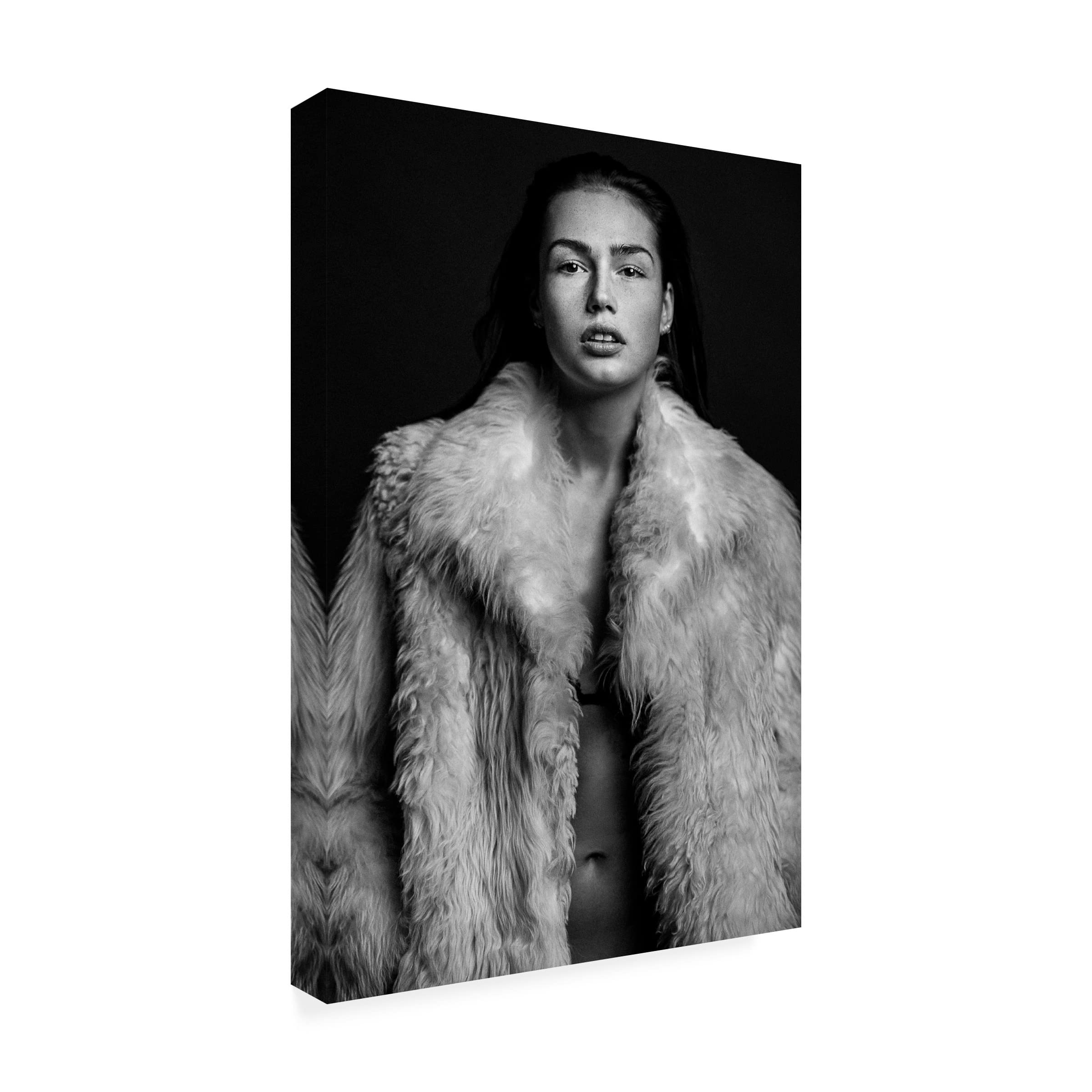 Trademark Fine Art 'Romi' Canvas Wall Art by Martin Krystynek - Modern Abstract Painting for Living Room, Bedroom & Office Decor