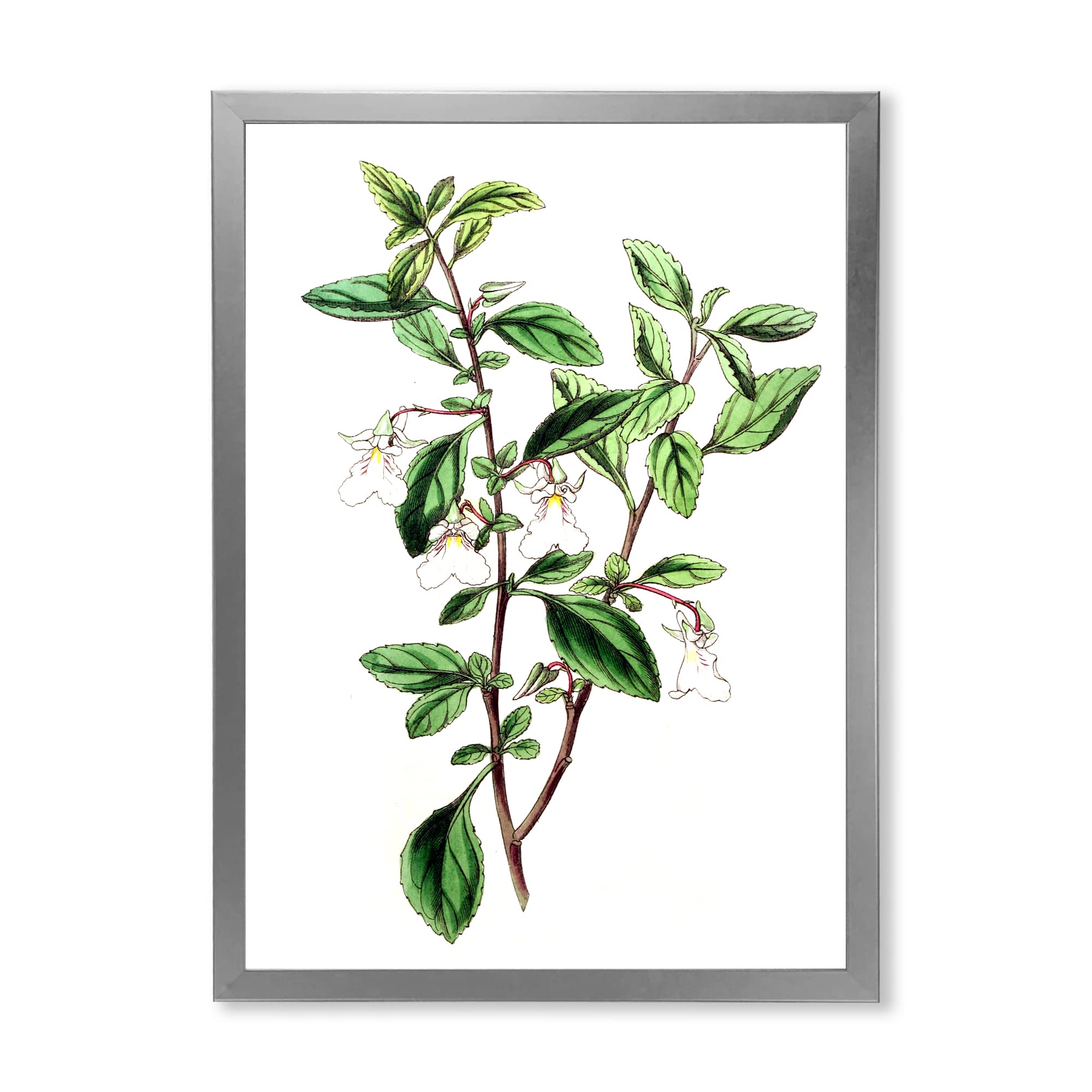 Vintage Green Leaves Plants VII Traditional Framed Wall Art - Botanical Home Decor for Living Room, Bedroom & Office - Perfect Gift for Nature Lovers