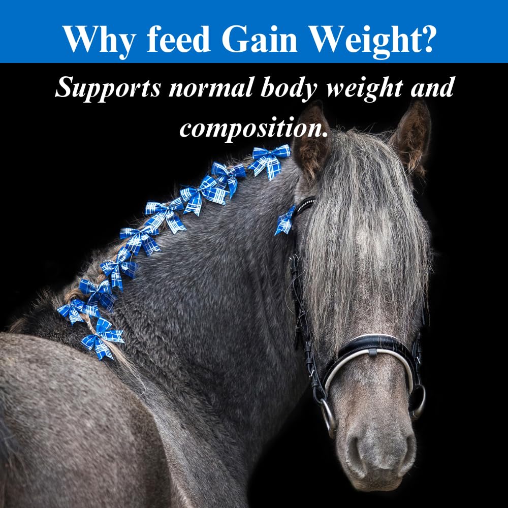 Equine Weight Gainer Supplement for Horses - 10lb Muscle Builder with Digestive Support & Appetite Booster - 1 Month Supply for Racehorses, Show Horses & Underweight Horses - Promotes Lean Muscle Growth & Healthy Weight Gain