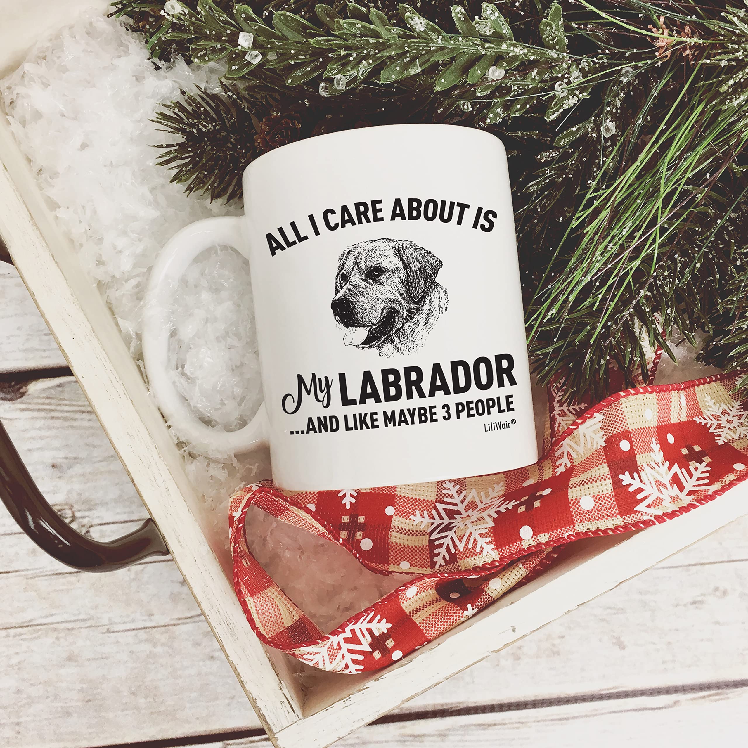 Funny Labrador Dog Lover Coffee Mug - Gift for Dog Moms, Dads & Pet Owners - Christmas, Birthday & Everyday Use - Perfect for Home, Office & Dog-Themed Decor