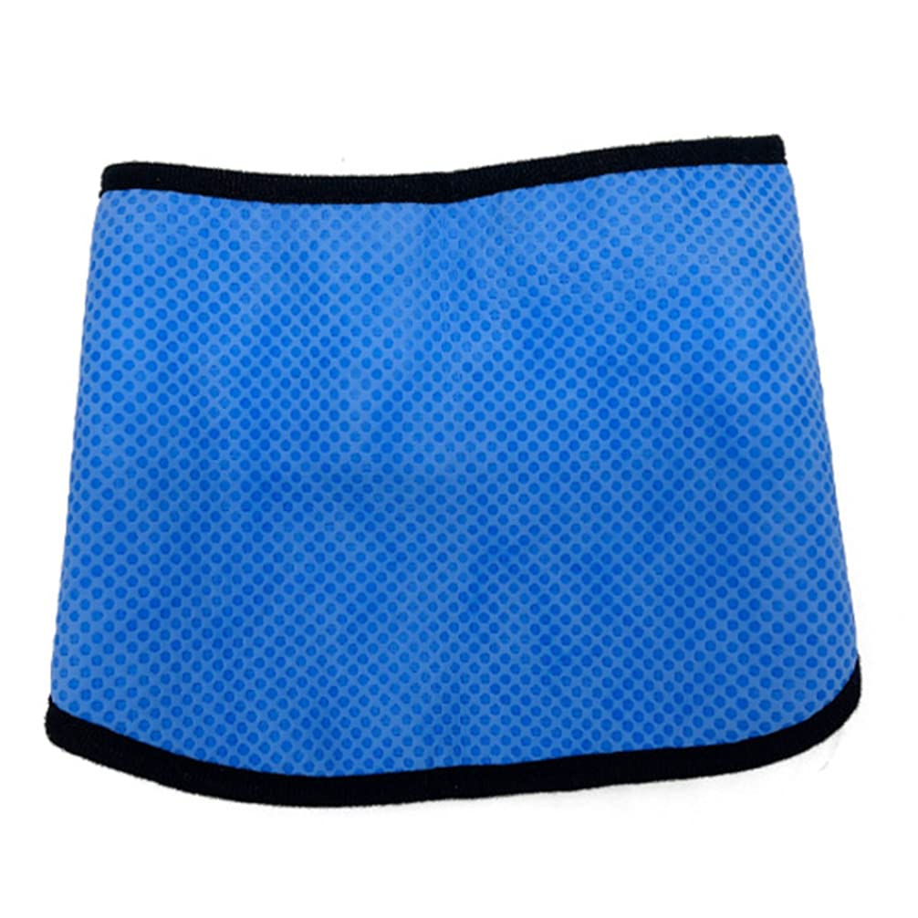 TEHAUX Cooling Pet Bandana for Dogs - Summer Heat Relief Accessory for Outdoor Walks