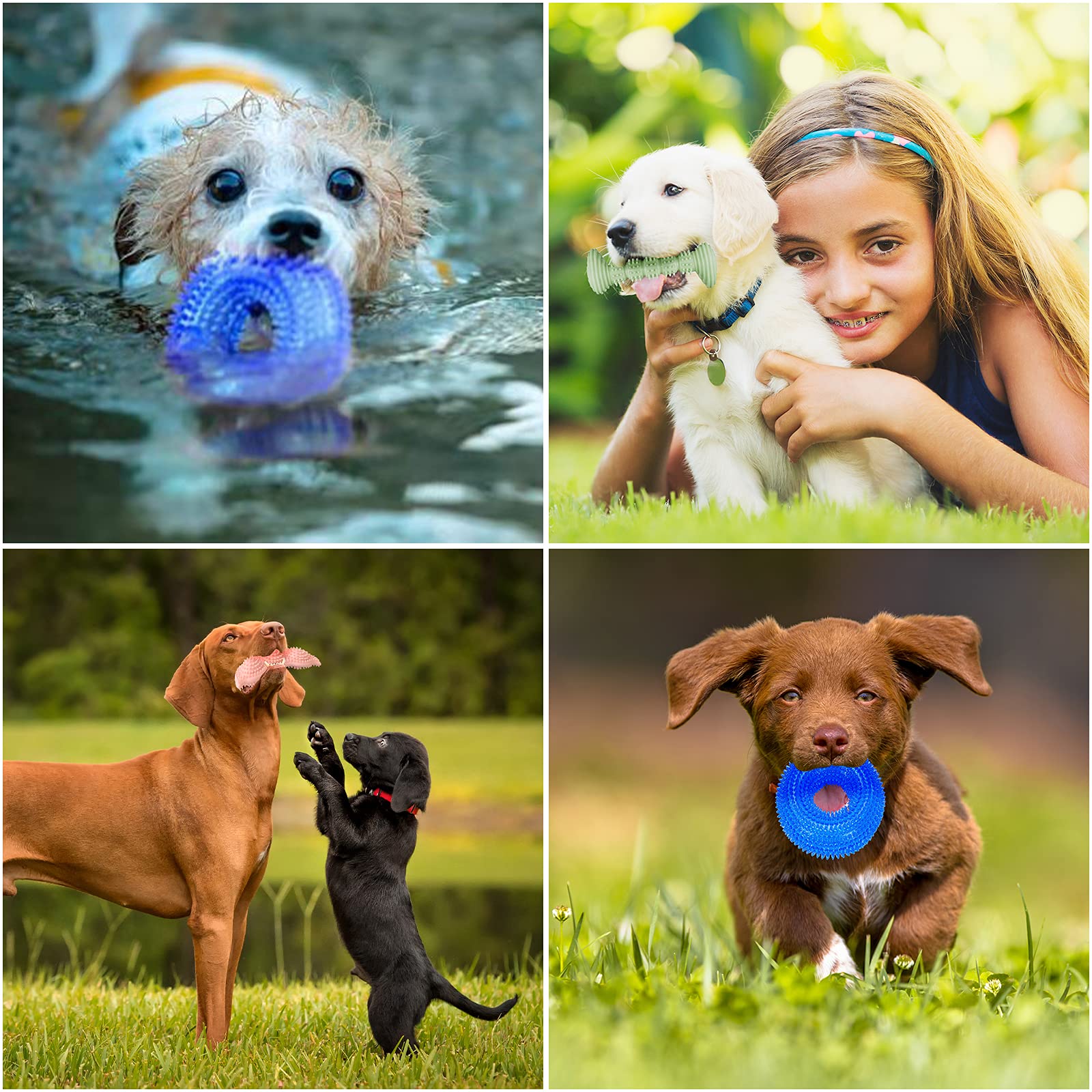 **3-Pack Puppy Teething Toys for Small & Medium Dogs – Soft, Durable Chew Toys for 2-8 Month Old Puppies – Promotes Dental Health & Soothes Teething Pain – Perfect for Cleaning Teeth & Protecting Oral Health – Ideal for Playtime & Training**