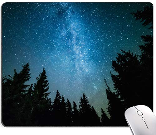 Milky Way Rises Over the Pine Trees