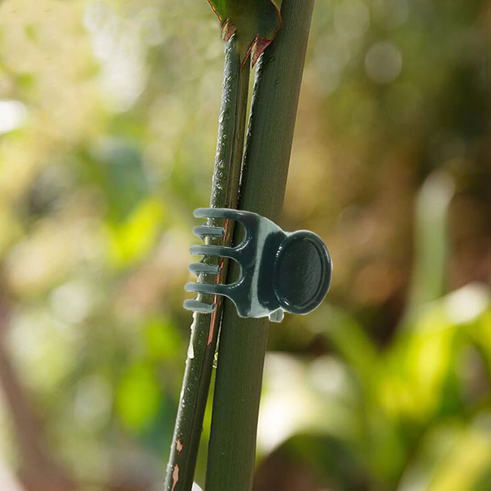 50Pcs Dark Green Plastic Orchid Clips - Garden Flower Vine Support Clips for Stems, Vines and Stalks | Ideal for Orchids, Tomatoes, Peas and Climbing Plants | Perfect for Indoor and Outdoor Gardening
