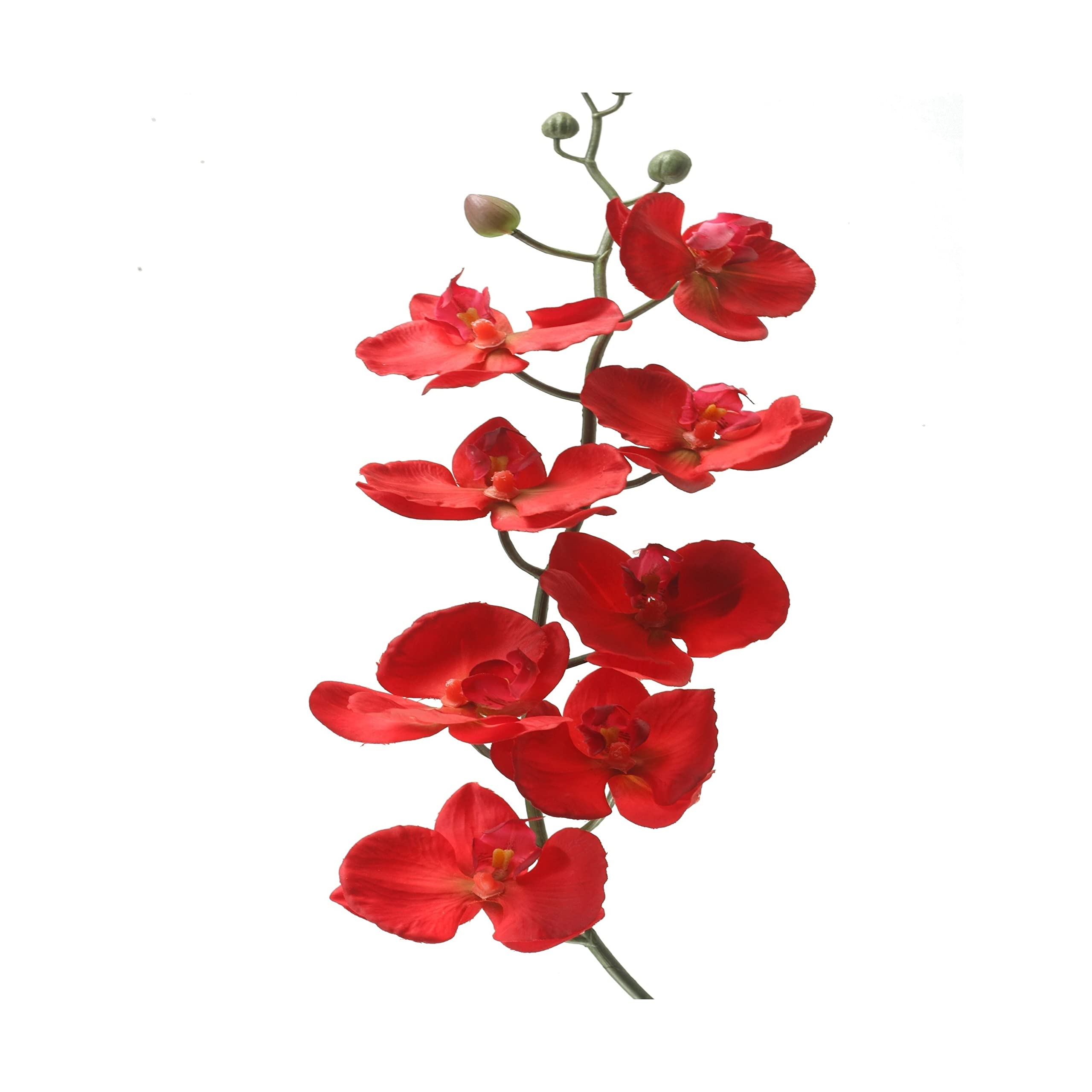 D & W Silks Premium Faux Flowers and Artificial Plants - Realistic Home Decor for Living Room, Wedding Centerpieces, and Office Decorations