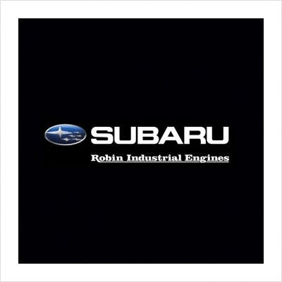 Subaru 50 Amp 125/250V AC Male Twist Lock Plug - Heavy Duty Electrical Connector for Generators, RVs & Industrial Equipment - Perfect for Outdoor Power Supply & Backup Systems