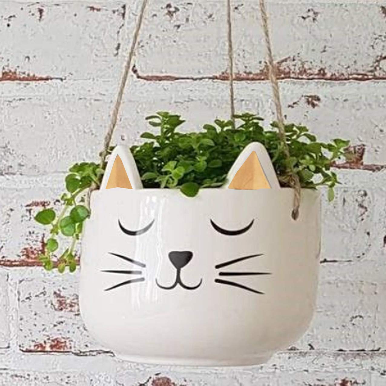 Ceramic Succulent Planter Pot - White Cat with Gold Ears Hanging Indoor Plant Pot for Home, Office, Garden Decor - Perfect for Small Plants, Herbs, and Air Plants (Set of 2)