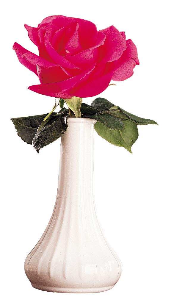 Cambro BV6CW148 6-Inch Clear Polycarbonate Bud Vase - Durable Floral Display for Weddings, Events & Home Decor