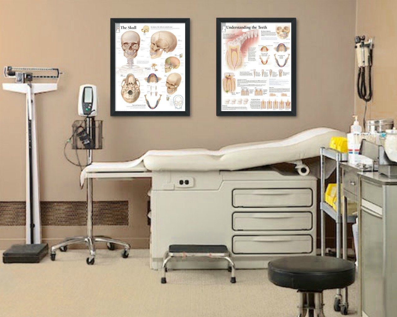 2 Pack Framed Medical Posters - Human Skull Anatomy & Teeth Structure Wall Charts 22