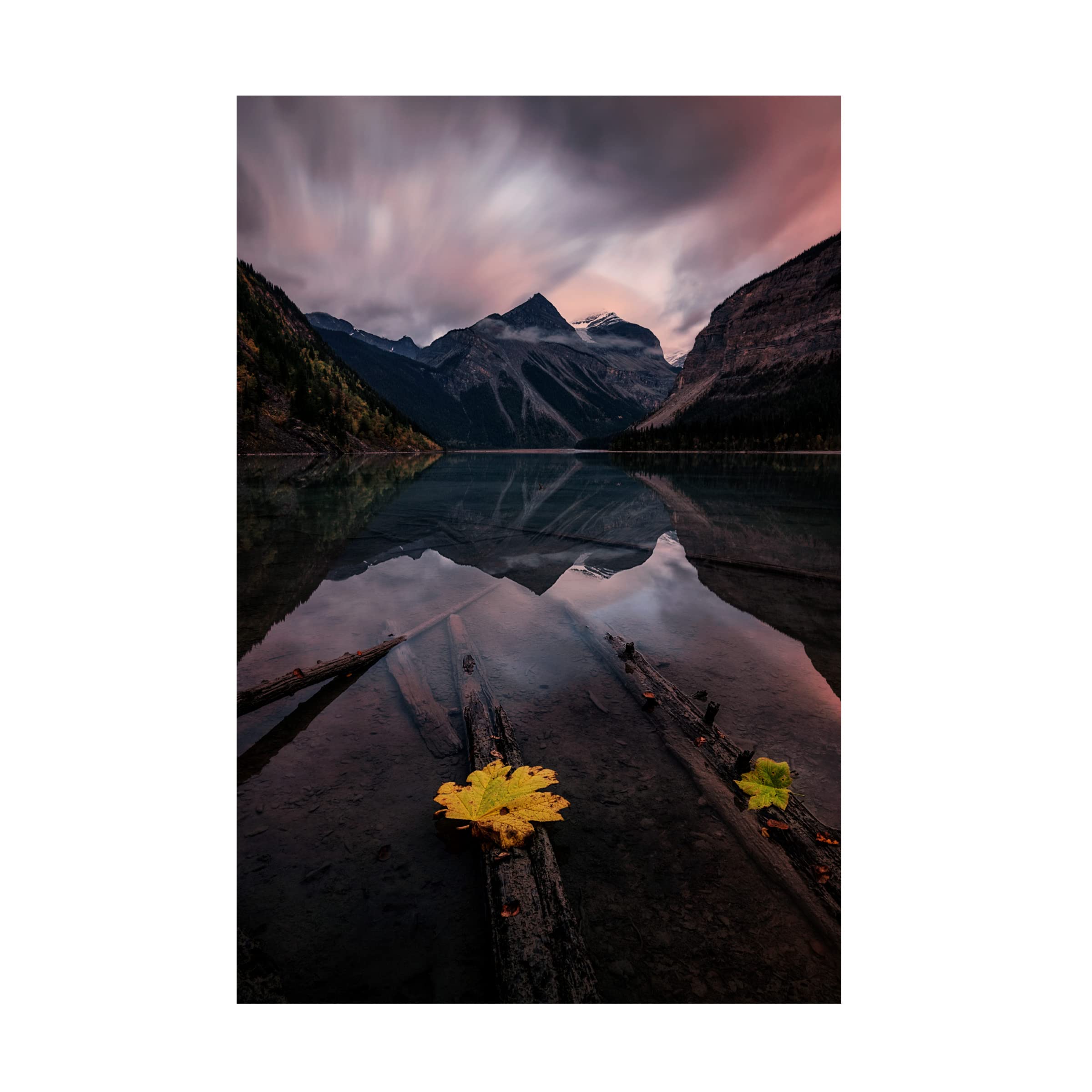 Trademark Fine Art 'Peaceful' Canvas Wall Art Print by Lydia Jacobs - Modern Home Decor for Living Room, Bedroom & Office