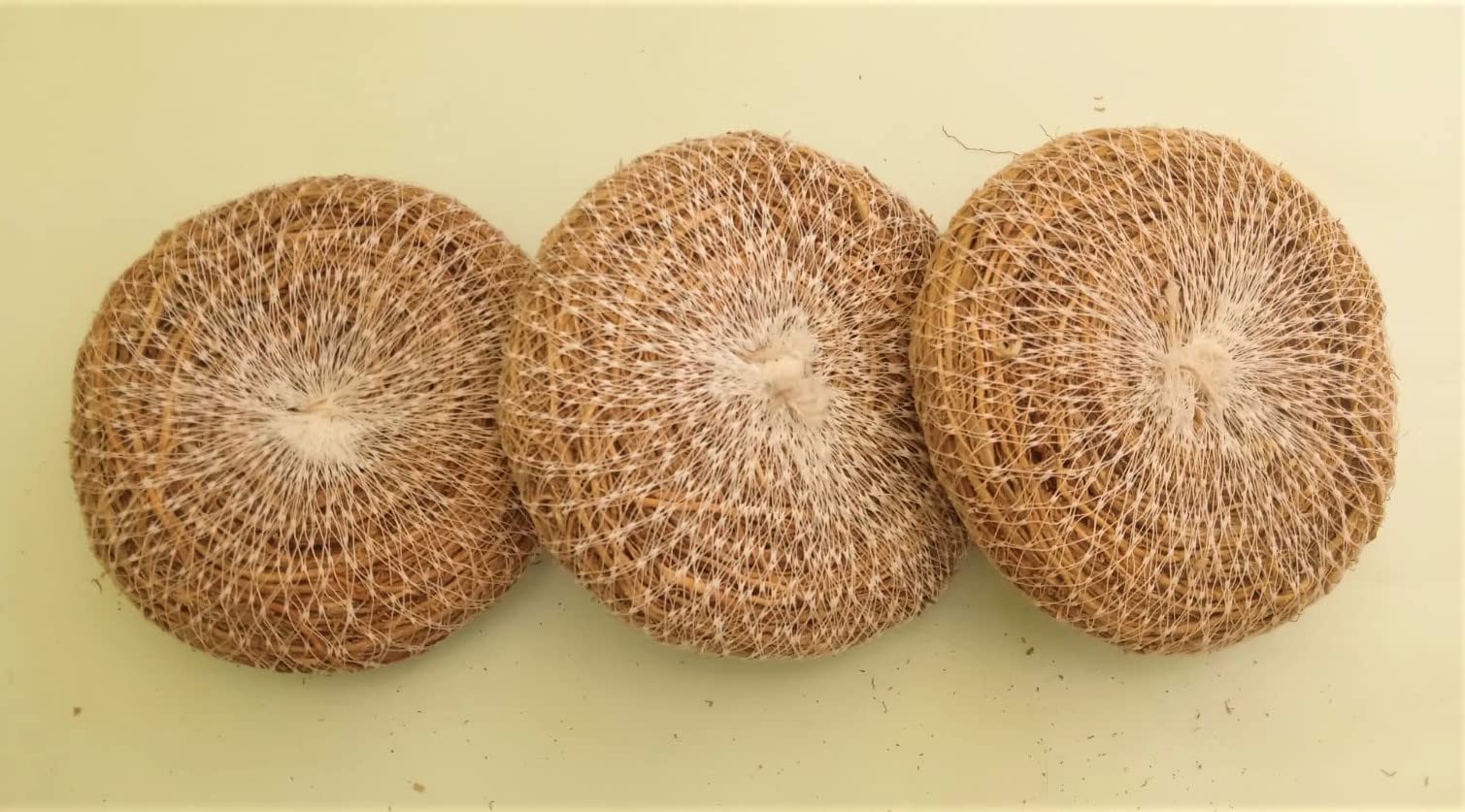 Organic Vetiver Root Body Scrubber for Stress Relief & Cooling - Pack of 3 | Natural Bathing Exfoliator with Ramacham Fragrance | Perfect for Spa Day, Ayurvedic Self-Care & Summer Refreshment