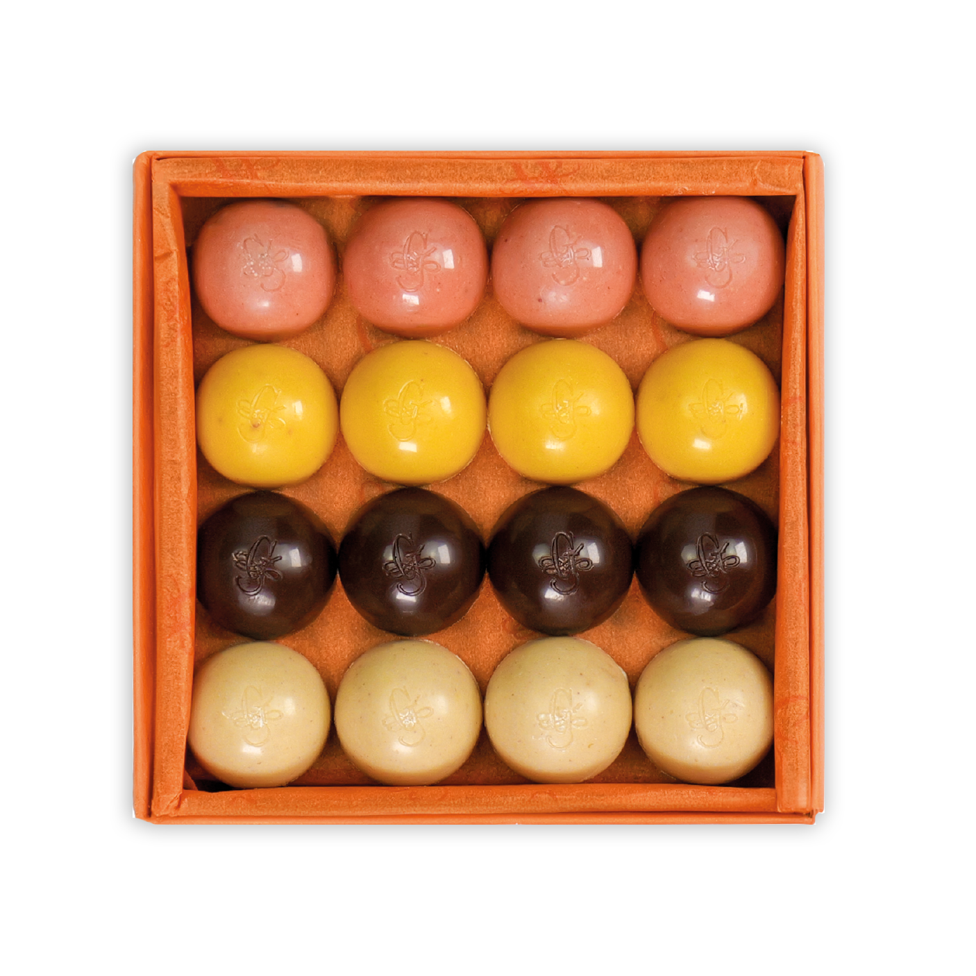 Guido Gobino Premium Fruit & Spice Semisphere Chocolate Gift Box - 32 Piece Assortment | Gourmet Dark Chocolate Treats for Holidays, Gifts & Special Occasions