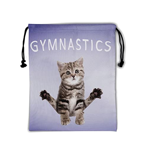 Gymnastic Cat