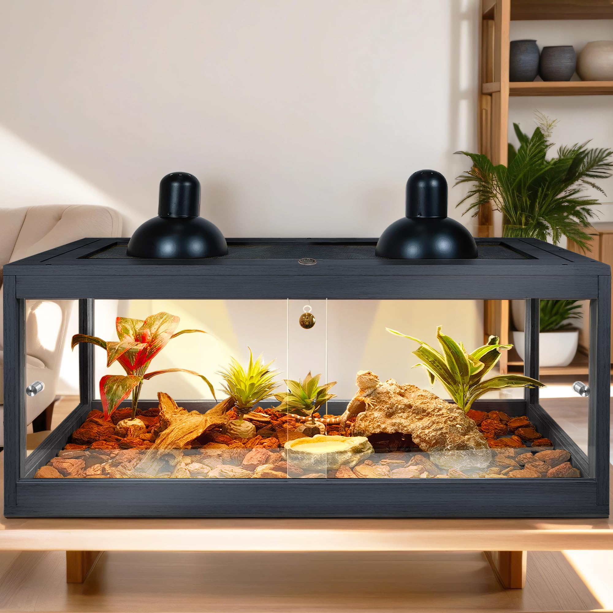 81 Gallon Bearded Dragon Tank - 48