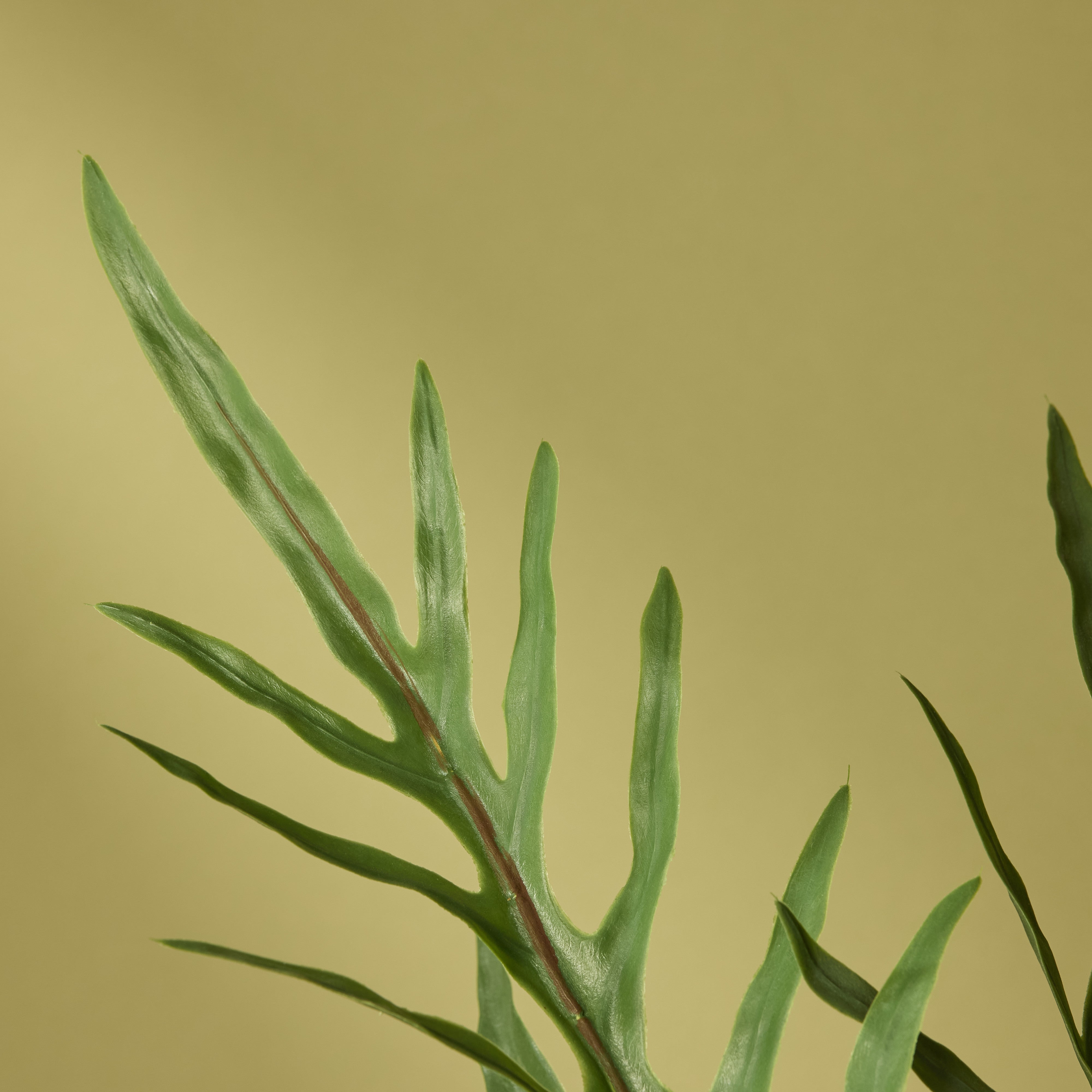 Artificial Blue Star Fern Plant in Pot - 32 Inch Tall Green Faux Fern for Home Decor, Office, Living Room & Indoor Spaces