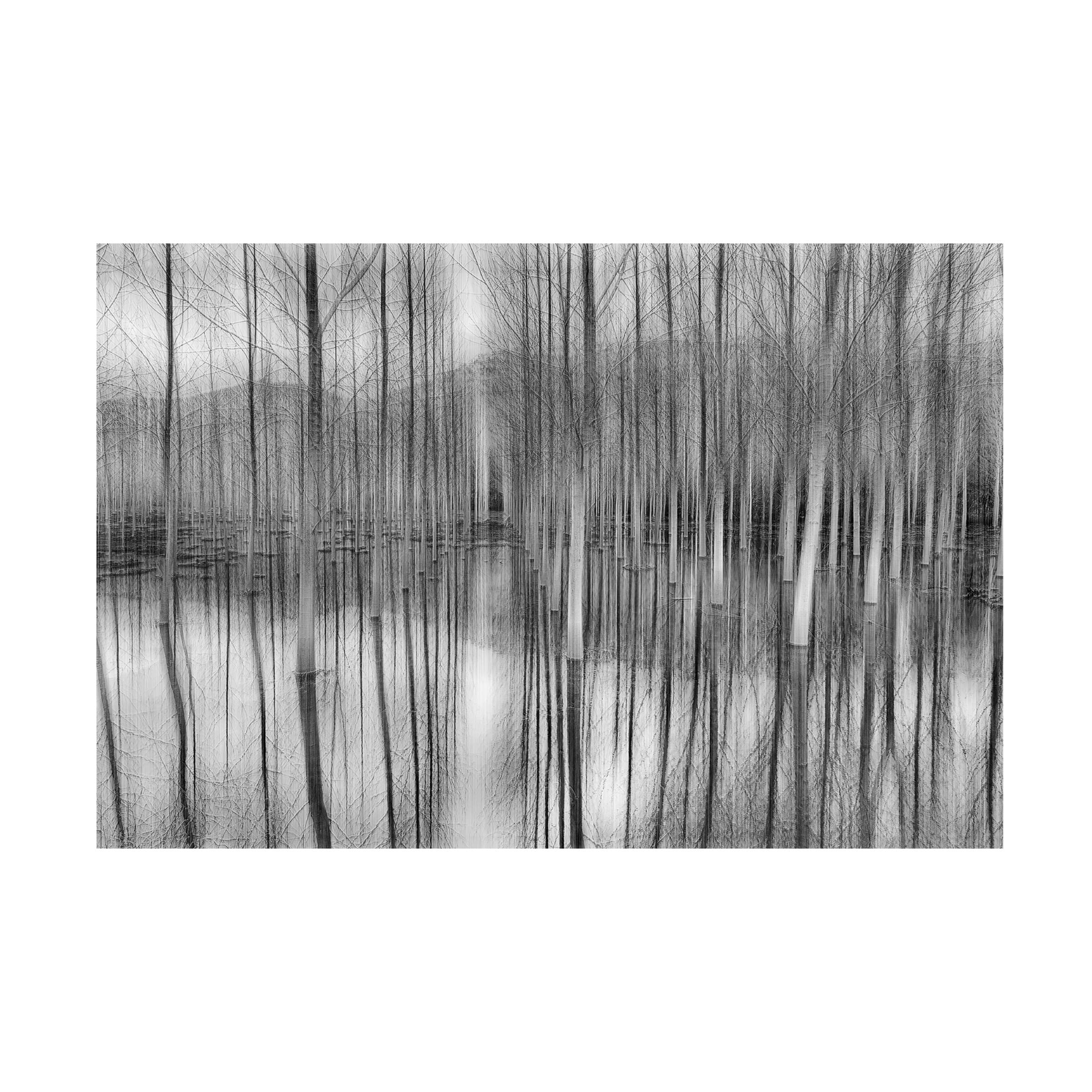 Trademark Fine Art 'Reflections' Canvas Wall Art by Fran Osuna - Modern Abstract Painting for Living Room, Bedroom & Office Decor