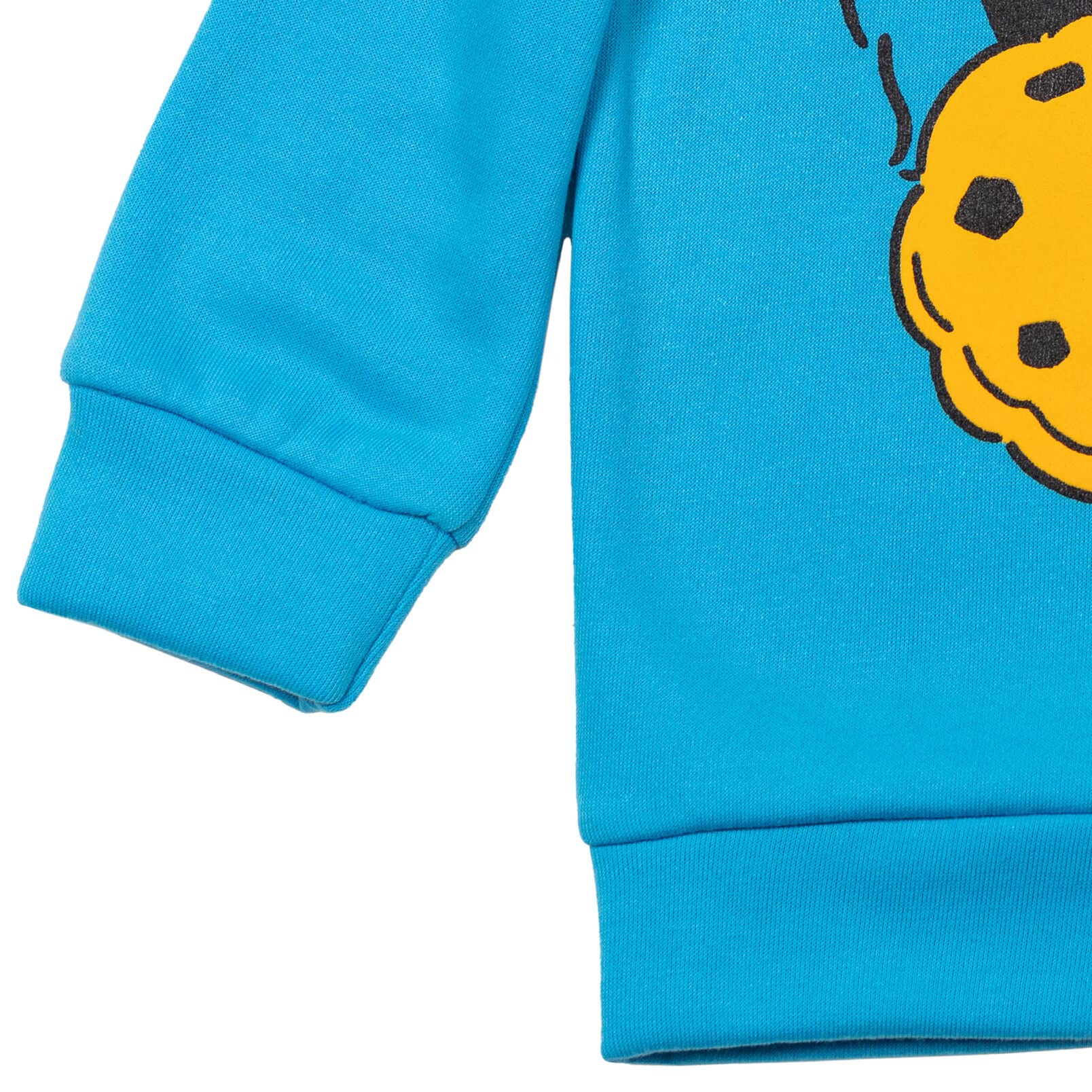 Sesame Street Abby Cadabby Elmo Big Bird Cookie Monster Oscar The Grouch Pullover Hoodie for Infants & Toddlers - Soft Cotton Kids Sweatshirt for Playtime, School & Family Outings