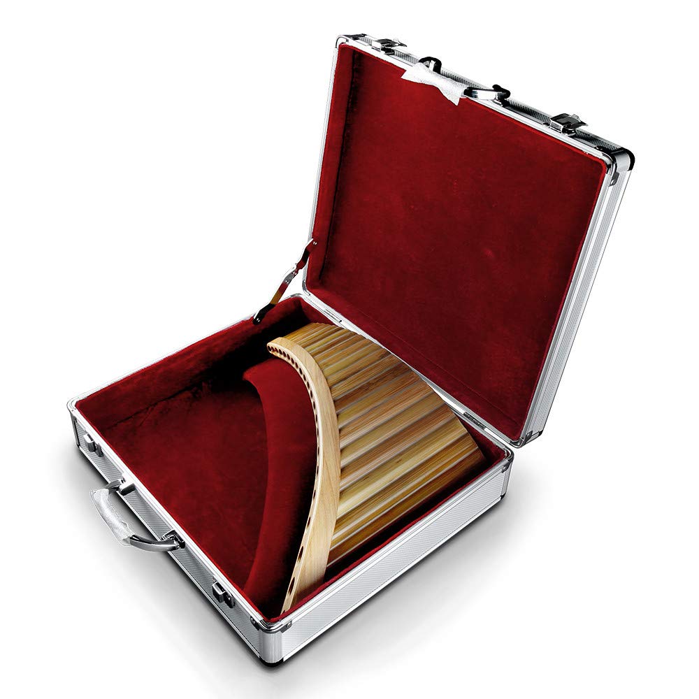 20 Pipes E Key Natural Bamboo Pan Flute - Traditional Chinese Musical Instrument with Black Case | Easy to Learn Left-Hand Panpipes for Beginners, Meditation & World Music Performances