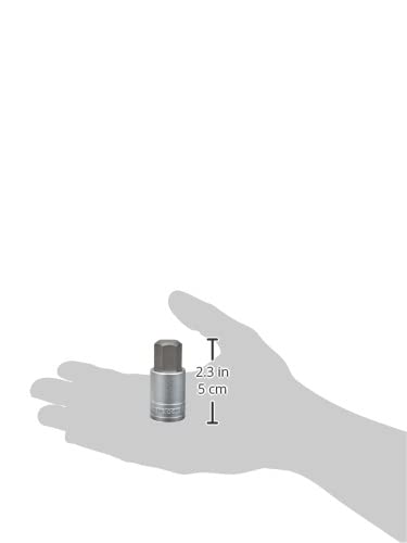 Teng Tools 17MM 1/2 Inch Drive Metric Hex Chrome Vanadium Socket - Professional Mechanic Hand Tool for Automotive Repair & DIY Projects (M121517-C)
