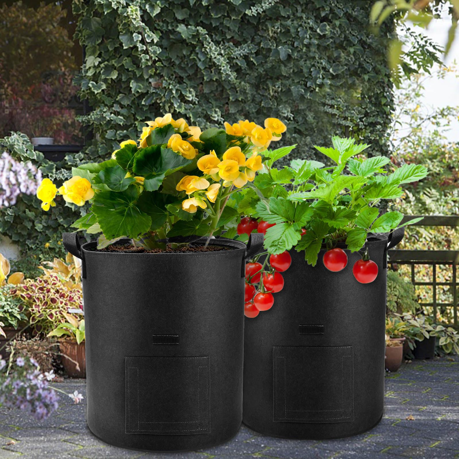 5 Pack 10 Gallon Heavy Duty Potato Grow Bags with Flap & Handles - Fabric Planting Pots for Potatoes, Carrots, Taro - Perfect for Home Gardening, Balcony & Indoor Vegetable Cultivation