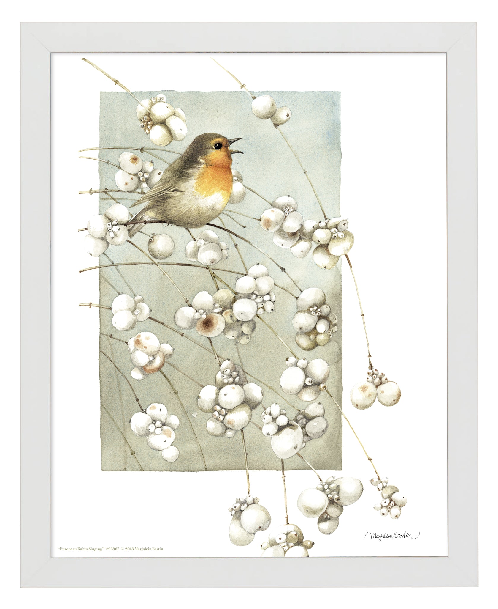 European Robin Singing Art Prints - Stunning Bird Wall Decor for Living Room, Bedroom & Office - Perfect Gift for Nature Lovers