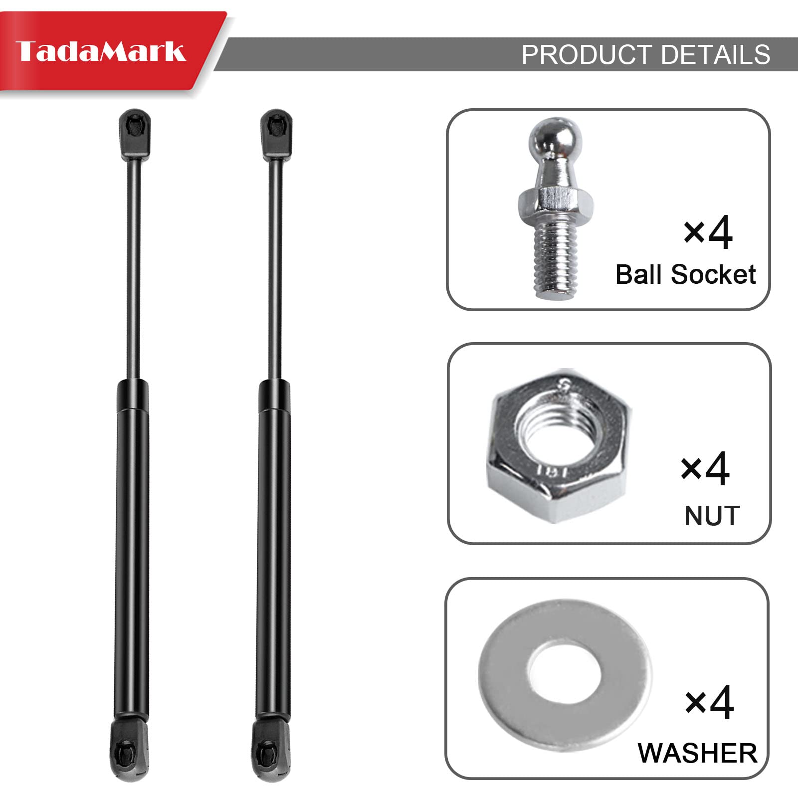 2 Pack 20 Inch 40lb/178N Gas Strut Spring Shock Absorber for RV Doors, Bed Storage, Trap Doors, TV Cabinets & Camper Shell Rear Windows - Heavy Duty Lift Support (Part C1608316) - Perfect for Smooth Opening & Closing of Storage Compartments