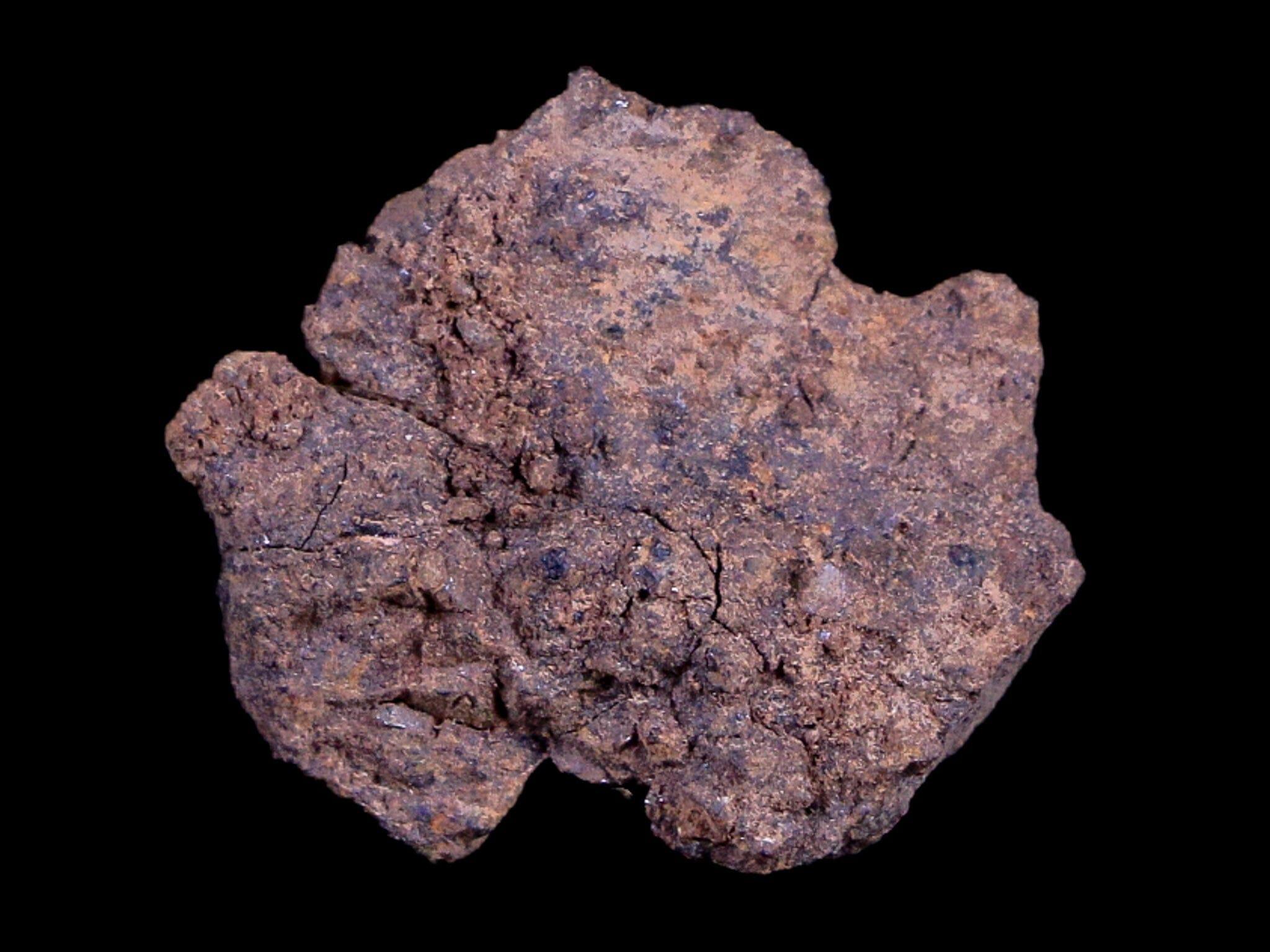 Vaca Muerta Meteorite Specimen - 2.4g Taltal Antofagasta Chile (Found 1861) - Premium Riker Display Case for Collectors | Perfect for Science Education, Space Enthusiasts & Home Decor