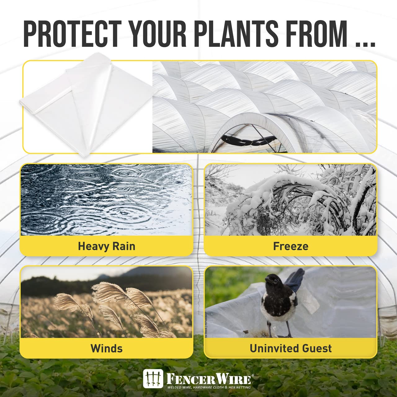 6 mil Clear UV-Resistant Greenhouse Plastic Sheeting - 32' x 50' Polyethylene Film for Hoop House, Horticulture & Farming | 90% Light Transmittance | Durable Cover for Gardening, Agriculture & Plant Protection