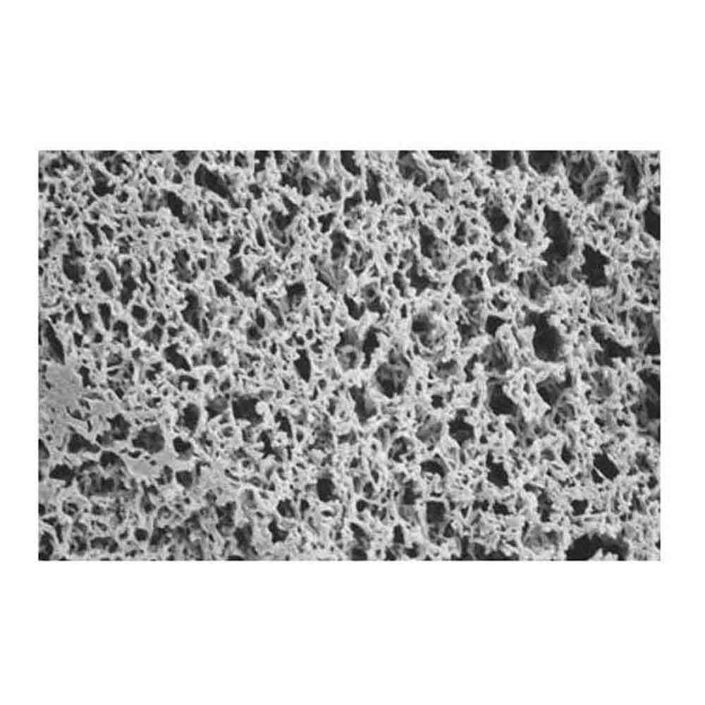 Nylon Membrane Filter 293mm Diameter, 0.45 Micron Pore Size - Laboratory Grade for HPLC, Filtration, and Sterile Sampling (Pack of 25) - Ideal for Water Testing, Air Monitoring, and Pharmaceutical Research