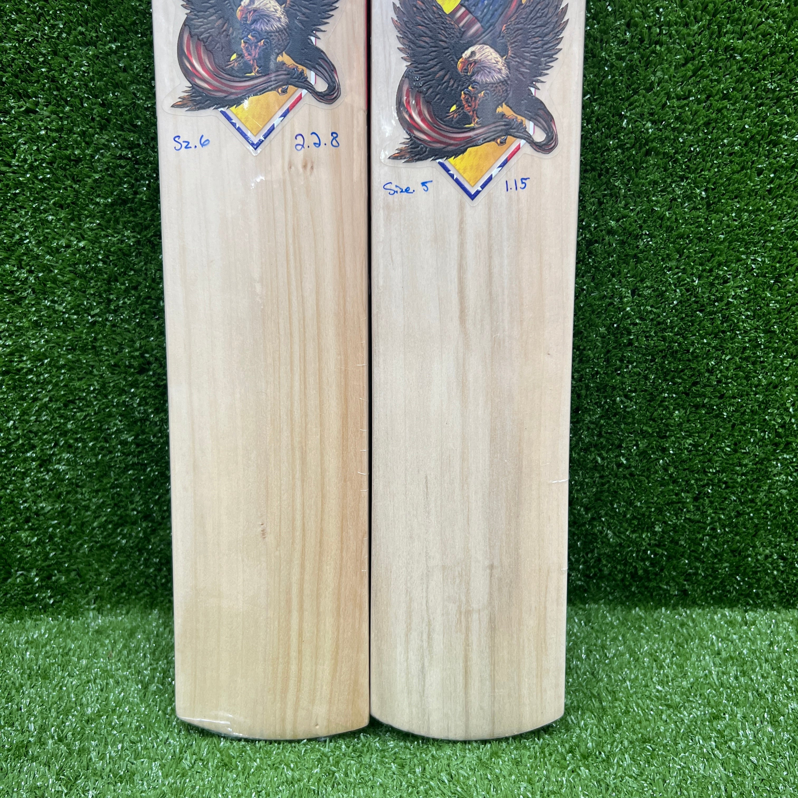 RAYDN Eagle Junior/Youth Kashmir Willow Cricket Bat - Surya Kumar Yadav Edition | Premium Quality for Young Players | Perfect for Cricket Practice & Matches