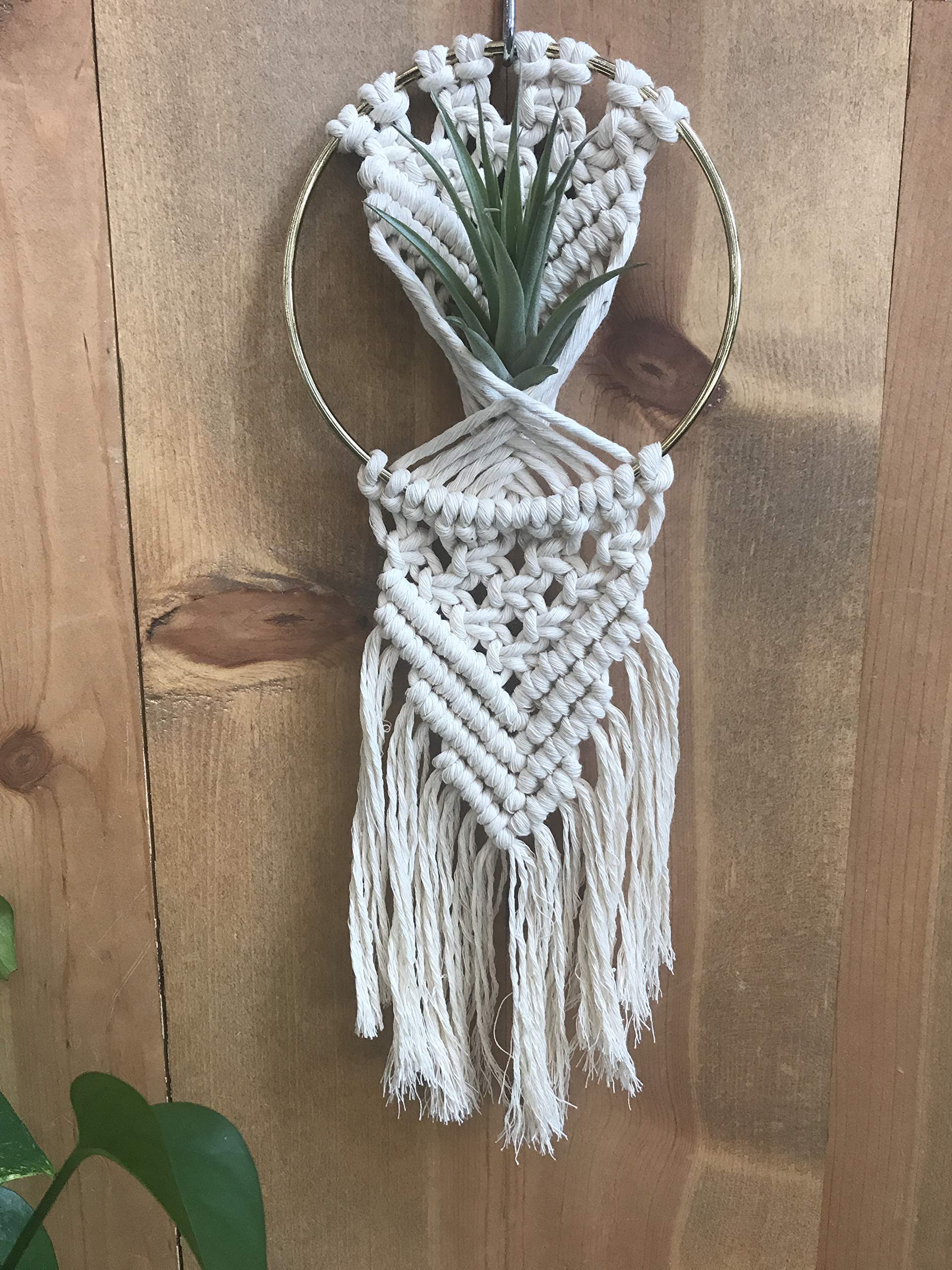 DIY Macrame Air Plant Hanger Kit - Handmade Boho Home Decor for Indoor Plants, Wall Hanging or Gift - Perfect for Living Room, Bedroom, Balcony & Office Decor