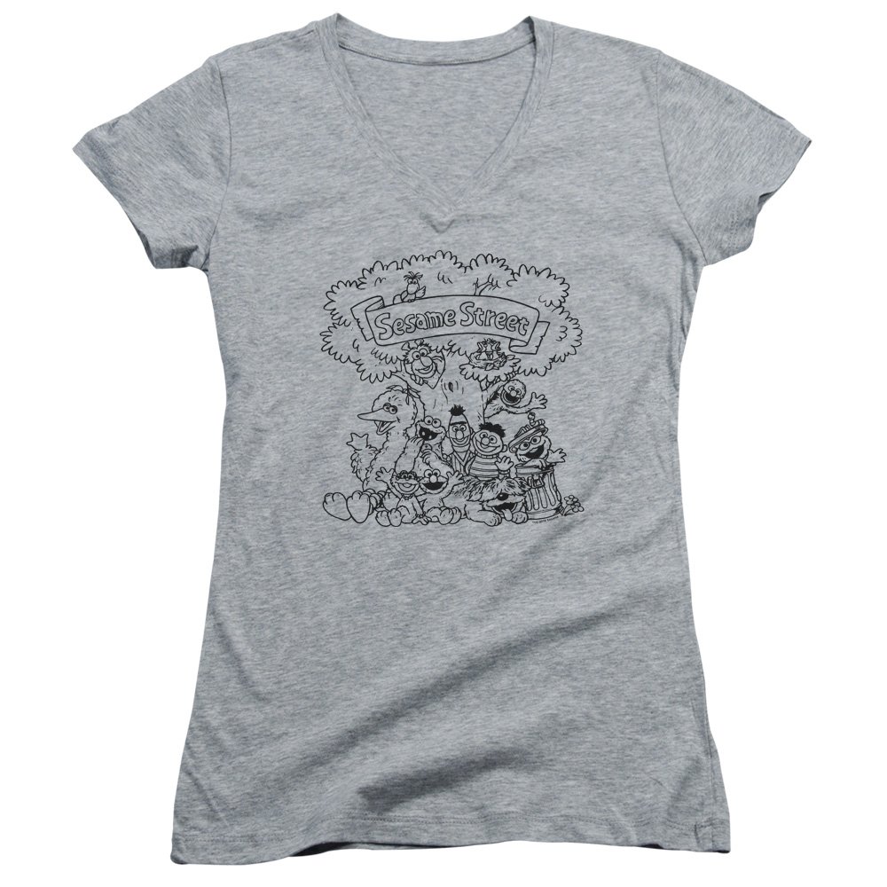 Sesame Street Simple Street Juniors' Sheer Fitted V-Neck T-Shirt - Cute & Comfortable Casual Top for Girls, Perfect for School, Playdates & Everyday Wear