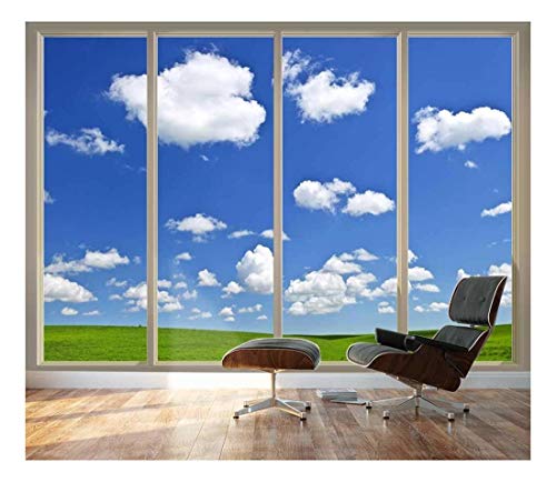 Clear Sky/Green Meadow