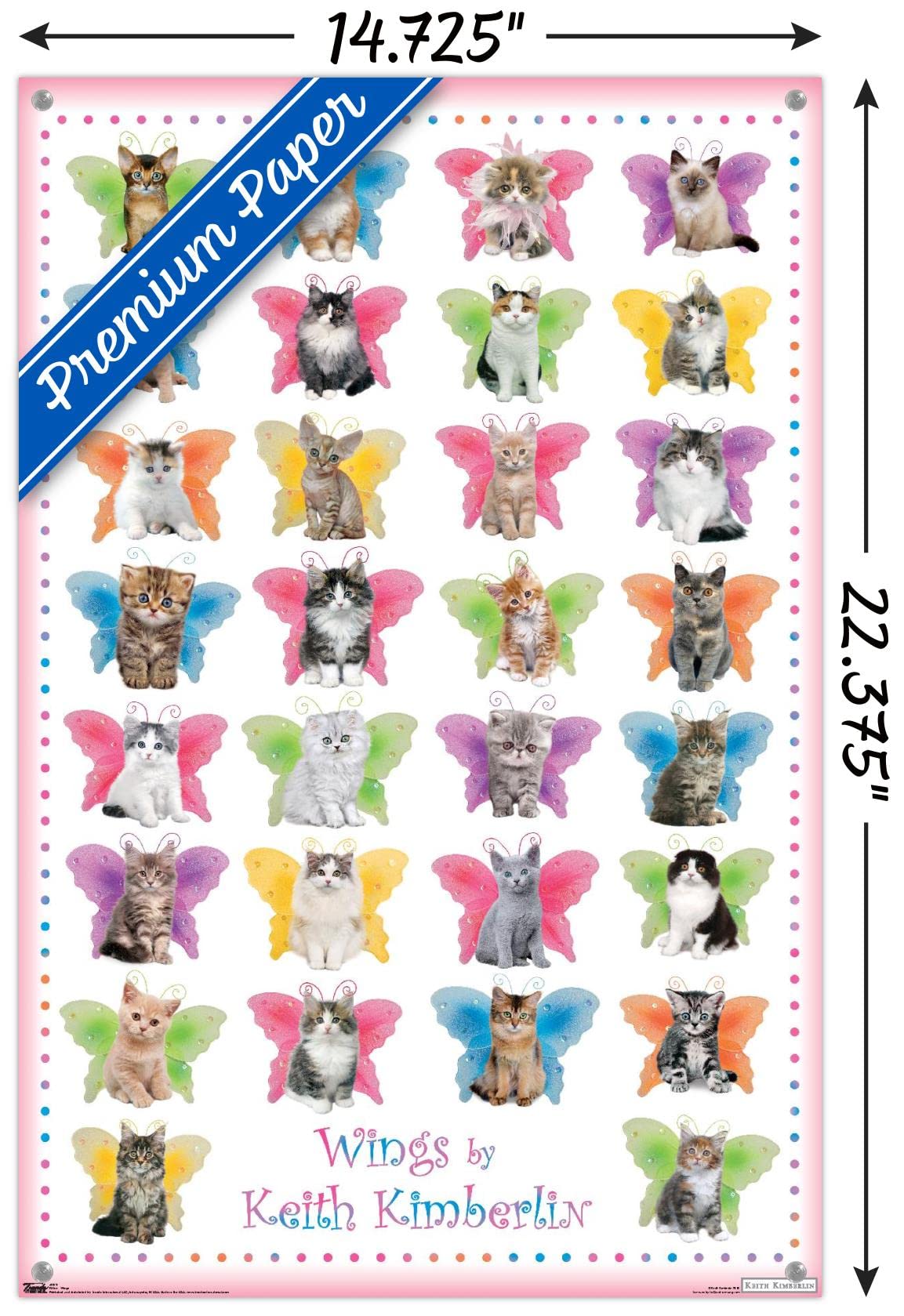 Keith Kimberlin - Kittens with Butterfly Wings Wall Art Poster with Push Pins | Cute Animal Decor for Bedroom, Nursery & Office