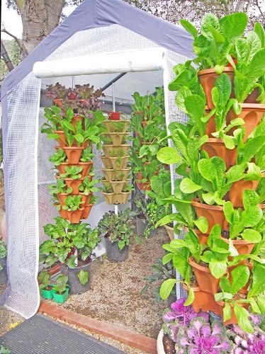 Mr Stacky Vertical Gardening Planters - Stackable Pots for Any Grow Medium (Soil, Hydroton, Perlite) - Hydroponic & Aquaponic System - DIY Container Garden for Indoor/Outdoor Plants - Perfect for Small Spaces, Balconies & Urban Gardening