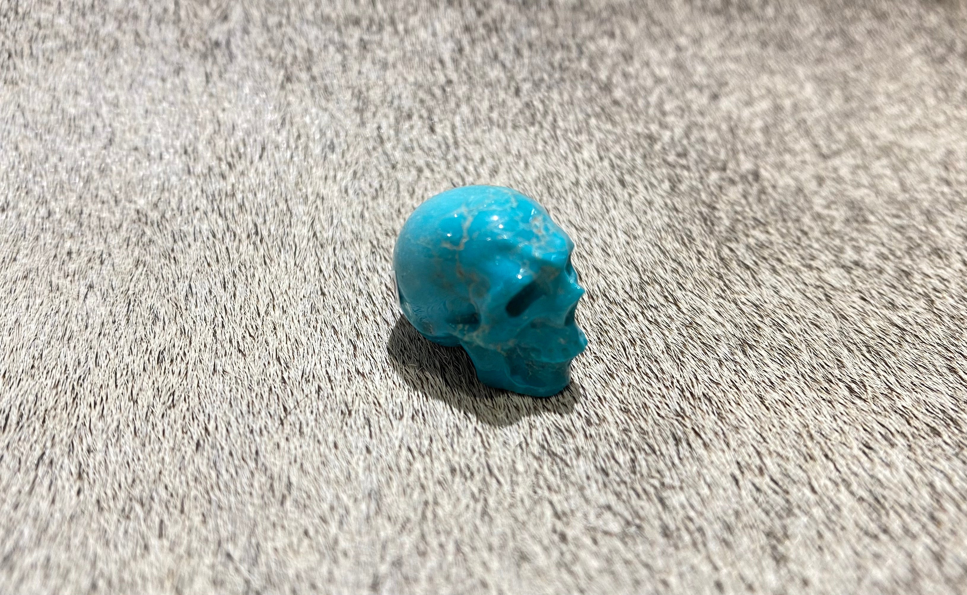Turquoise Fox Skull Decor - Unique Gothic Home Decor for Halloween, Witchy Aesthetic & Dark Academia Room Decor
