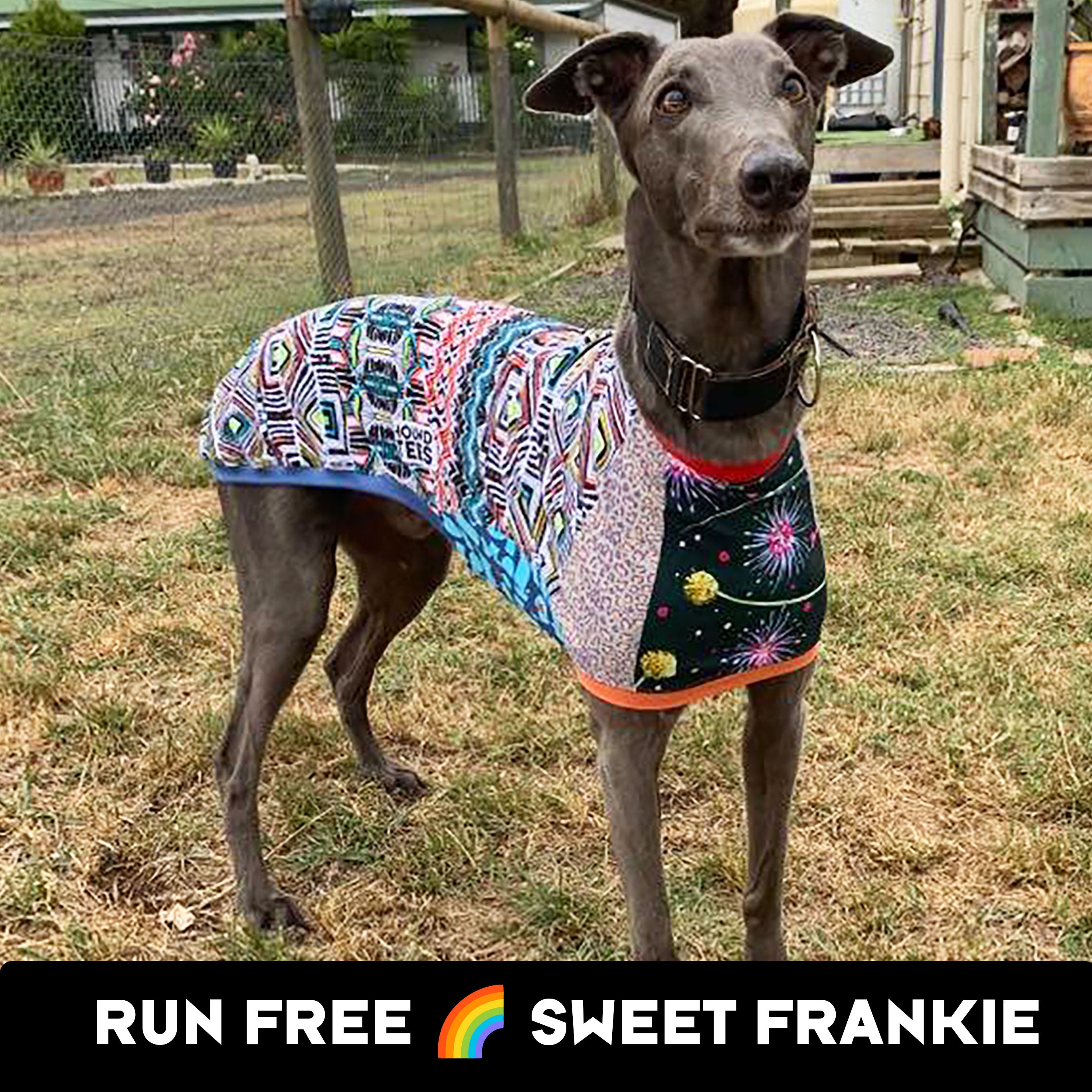Frankie Greyhound Sleeveless Dog T-Shirt - Comfortable Pet Apparel for Active Dogs, Outdoor Adventures & Playtime